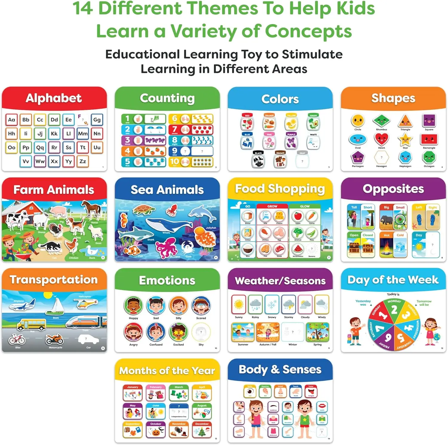 Montessori Learning Adventure